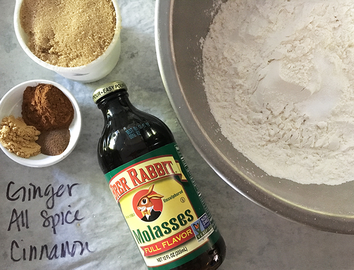 Gingerbread Cookie Decorating