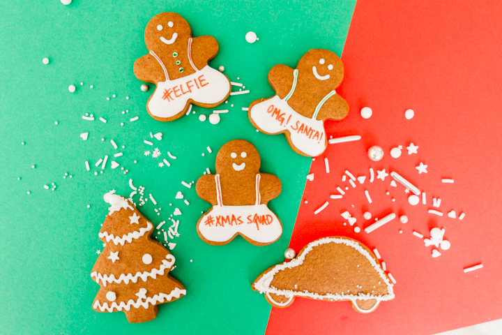 Holiday Gingerbread Cookies