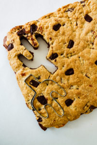 Chocolate Chunk Cactus Cutter