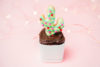 christmas cactus cupcakes