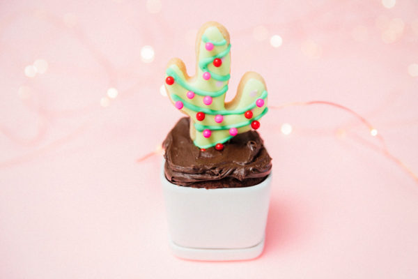 christmas cactus cupcakes